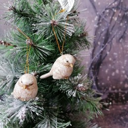 Vtáčik bielo-zlatý