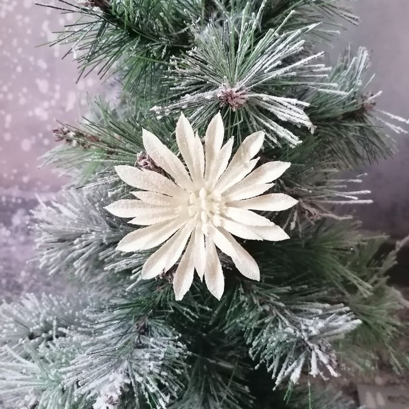 Vianočný kvet