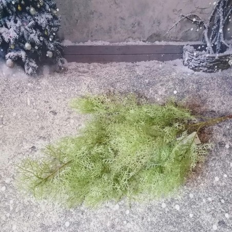 Umelá vetva plumózy