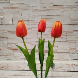 Oranžový tulipán
